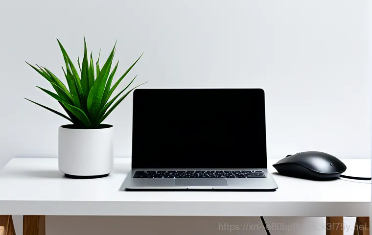 용인시 운영체제 os 재설치 포맷  초기화 - **Prompt for MacBook OS Reinstallation: The Digital Architect**
    A focused shot on a MacBook scre...
