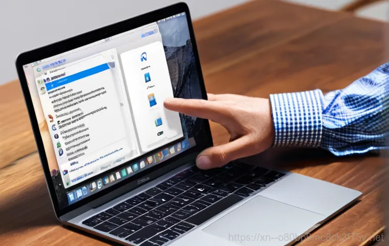 구기동 macosX재설치 포맷  초기화 - A meticulous and organized person, mid-thirties, is diligently backing up their MacBook. They are si...