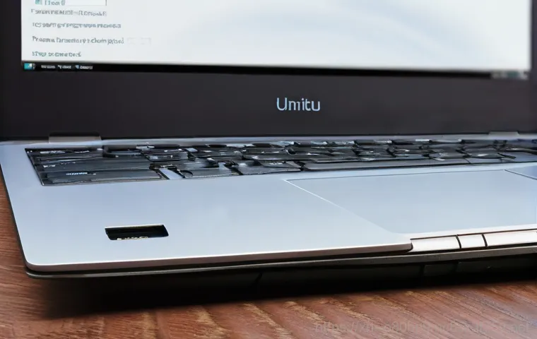 남가좌동 ubuntu재설치 포맷  초기화 - **Prompt for Ubuntu Installation Methods (Clean vs. Dual Boot):**
    A visually striking split-scre...