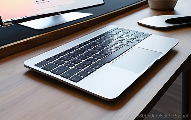성현동 macosX재설치 포맷  초기화 - **Prompt 2: The Technical Process of MacBook Disk Erase**
    "A detailed close-up shot of a MacBook...