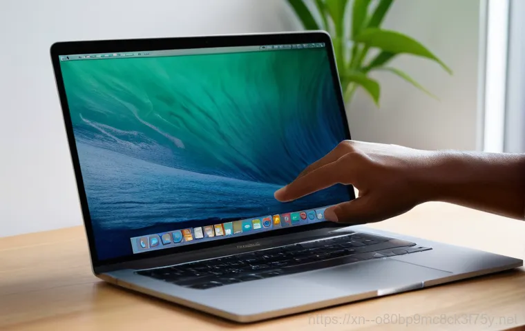 당산동 macosX재설치 포맷  초기화 - A person diligently backing up important data from their MacBook to an external hard drive. The indi...