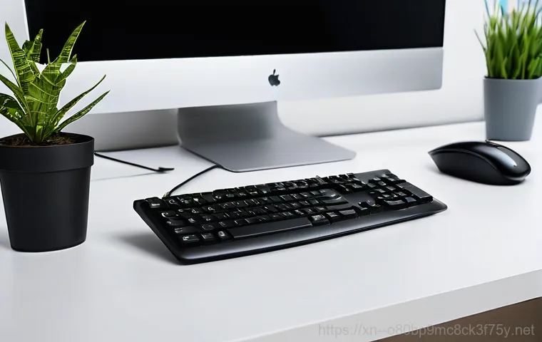 예지동 윈도우10 windows10 재설치 포맷  초기화 - **Prompt 2: Essential Data Backup**
    "A focused person, approximately 30-45 years old, diligently...