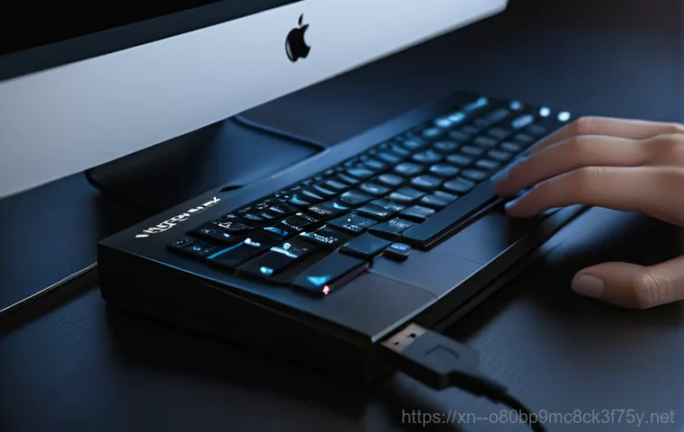 입정동 프리도스 윈도우설치 - 0," and "Boot Order." One hand is delicately pressing an 'F2' or 'DEL' key on the laptop's keyboard,...