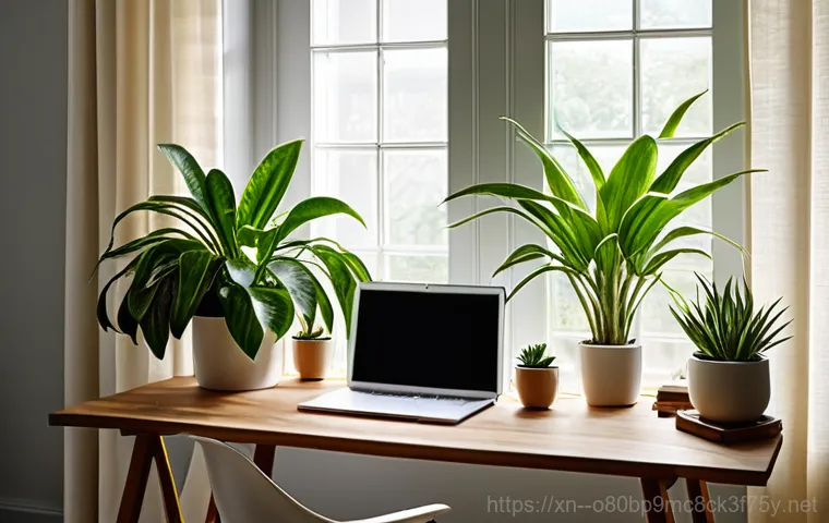 백암면 STATUS_IO_TIMEOUT - **Modern Solo Living in an AI-Powered Smart Home**
    A contemporary, uncluttered living space desi...