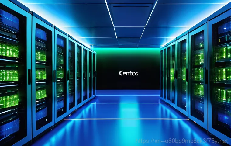 광남동 centos재설치 포맷  초기화 - A focused IT professional, a woman in her early 30s with short, dark hair, is meticulously organizin...