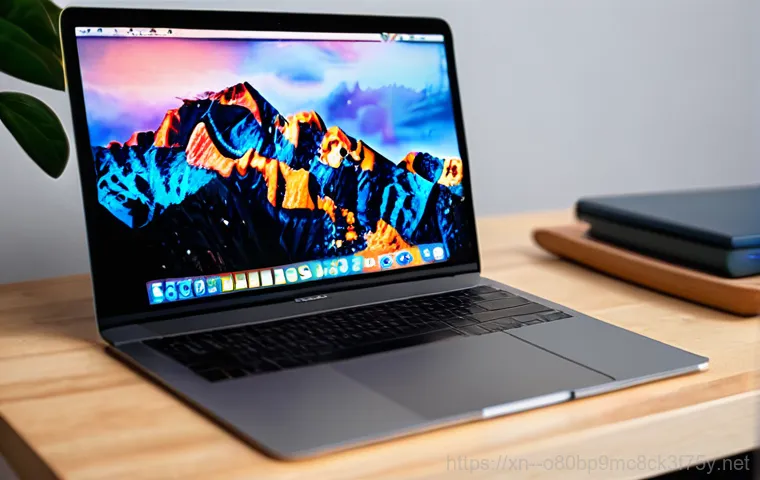 백령면 macosX재설치 포맷  초기화 - **Prompt:** A person, late 20s to early 30s, is diligently backing up precious data from their MacBo...
