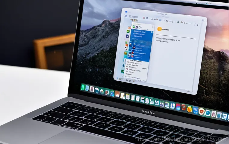 현저동 macosX재설치 포맷  초기화 - A person, 20-30s, seated at a well-lit desk, diligently backing up their MacBook Pro. An external ha...