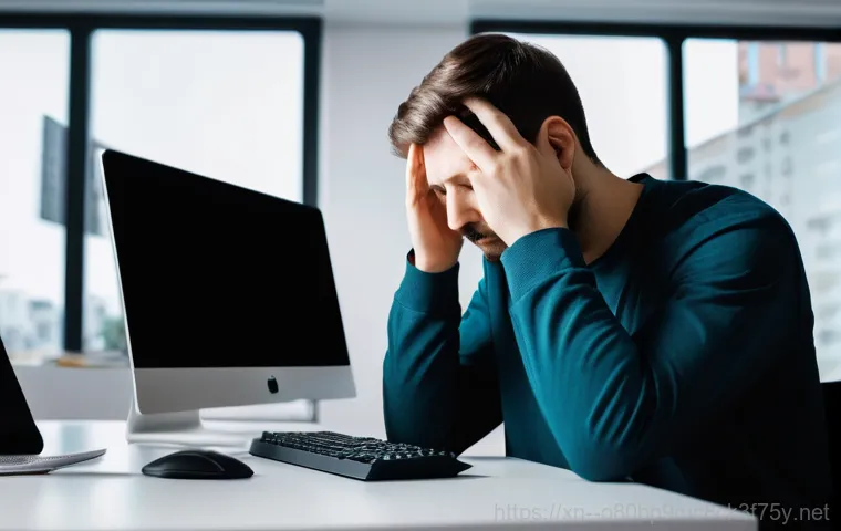 종로구 STATUS_INSTRUCTION_FAILED - **Digital Bureaucracy Frustration - Browser Compatibility:**
    "A person in their early thirties, ...