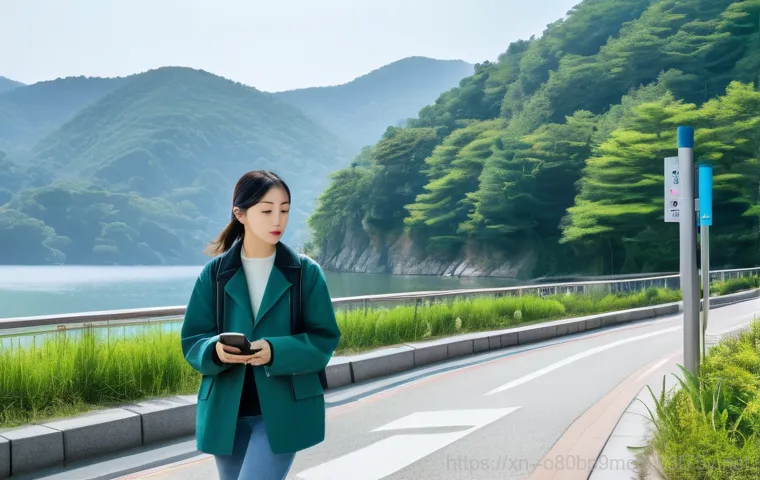 가평읍 STATUS_FLOAT_UNDERFLOW - **Prompt for Smart Parking System Error:**
"A bustling, modern street in Gapyeong, South Korea, ... 가평읍 STATUS_FLOAT_UNDERFLOW - **Prompt for Smart Parking System Error:**
"A bustling, modern street in Gapyeong, South Korea, ...