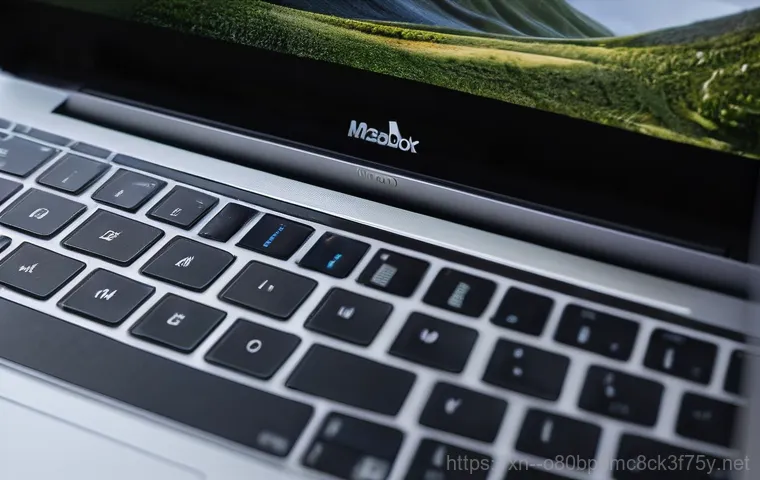 대포동 macosX재설치 포맷 초기화 - **Prompt 2: Diligent Data Backup Before MacBook Reset**
A person in their early 30s, with a calm... 대포동 macosX재설치 포맷 초기화 - **Prompt 2: Diligent Data Backup Before MacBook Reset**
A person in their early 30s, with a calm...