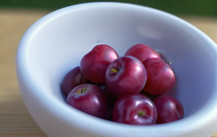 호수동 STATUS_KERNEL_THREAD_TIMEOUT 이미지 2