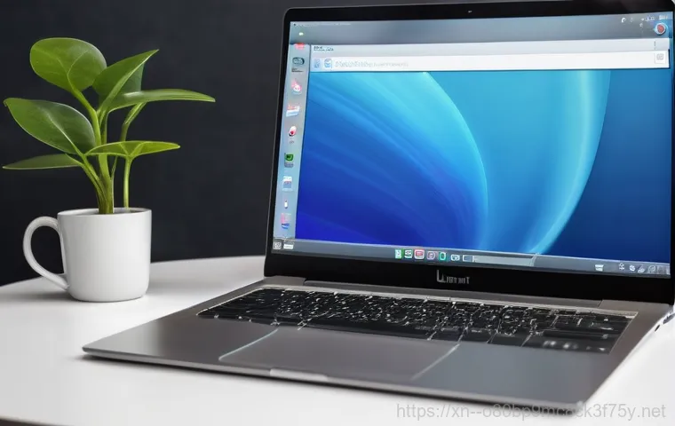 우면동 linux재설치 포맷  초기화 - **Image Prompt: The Essential Act of Data Backup**
    A focused person, in their thirties, is metic...