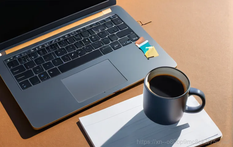 강상면 프리도스 윈도우설치 - **Prompt 1: The Frustration of DIY Windows 11 Installation on a FreeDOS Laptop**
    "A young adult,...