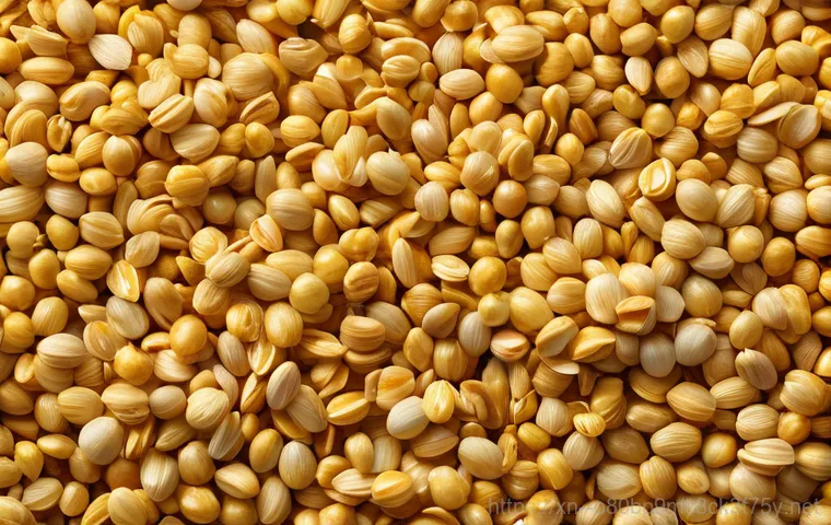 충무로 KERNEL_MODE_HEAP_CORRUPTION 이미지 1