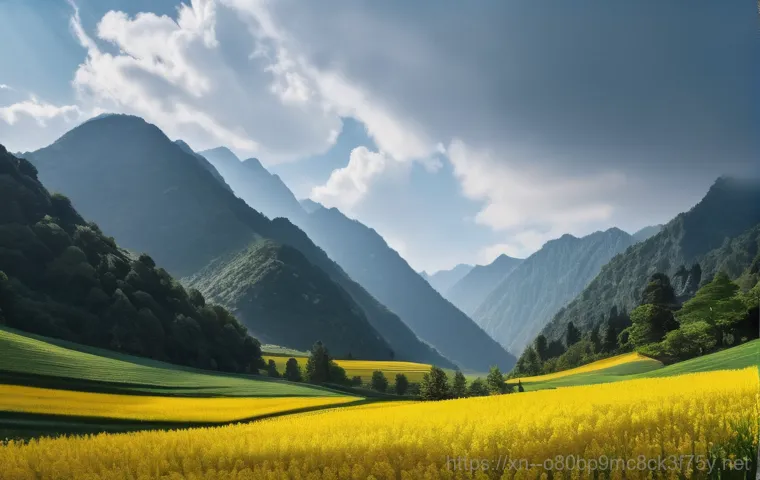 발산동 본체 꺼졌다 켜졌다 할때 이미지 1