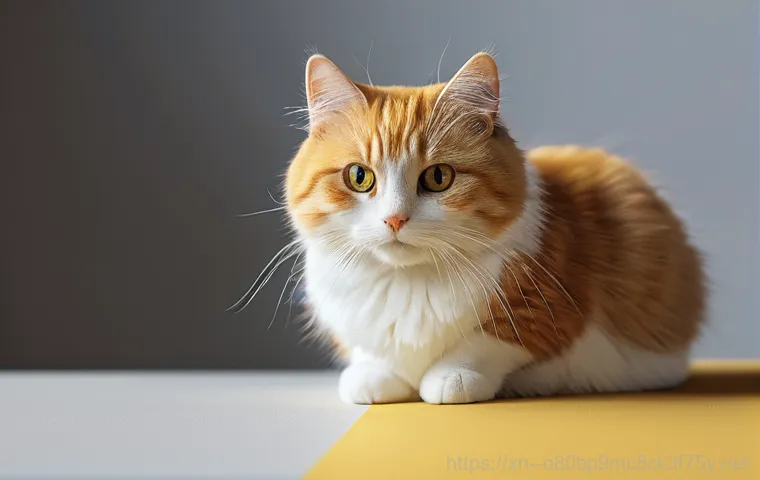 상암동 STATUS_KERNEL_THREAD_INTERRUPTED 이미지 1 상암동 STATUS_KERNEL_THREAD_INTERRUPTED 이미지 1