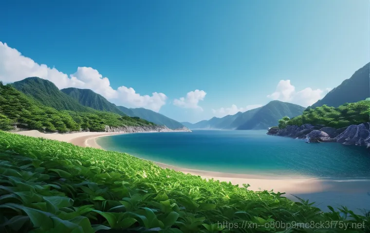 청림동 STATUS_MEMORY_OVERFLOW 이미지 2