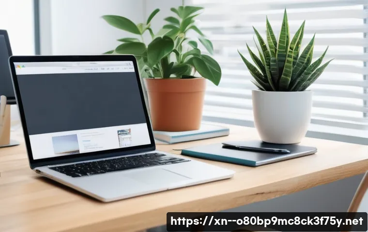 교산동 STATUS_ACCESS_VIOLATION 관련 이미지 2