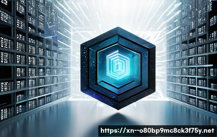 평리동 STATUS_IO_ERROR 관련 이미지 2