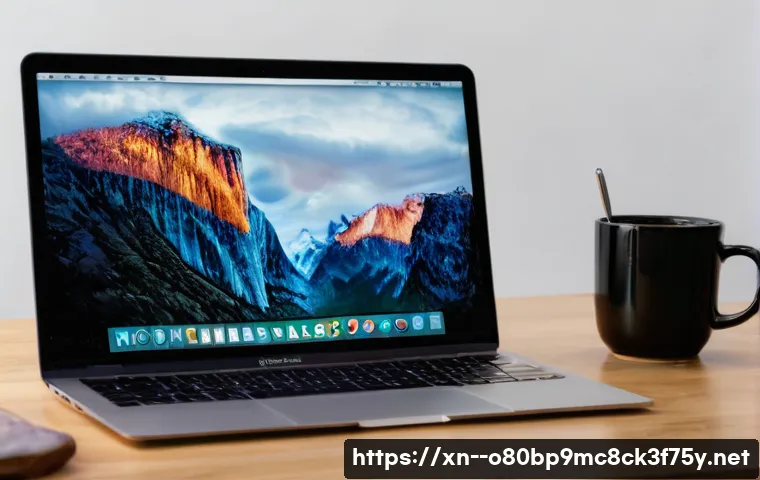 연천군 macosX재설치 포맷  초기화 관련 이미지 2