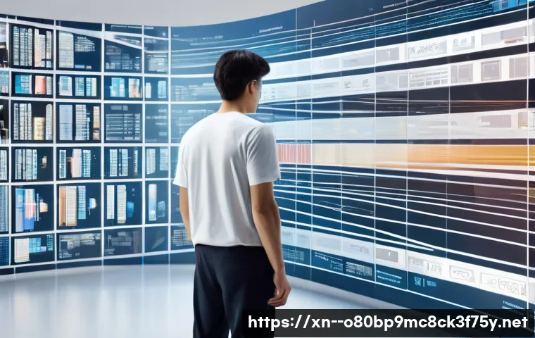 성석동 STATUS_MEMORY_OVERFLOW 관련 이미지 2