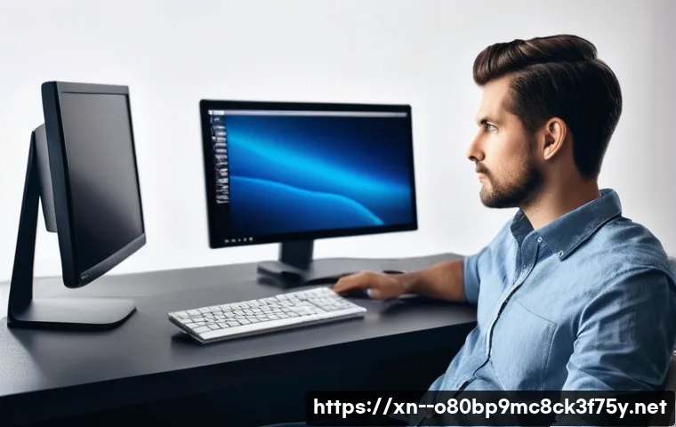 노온사동 STATUS_FLOAT_INVALID_OPERATION 관련 이미지 1