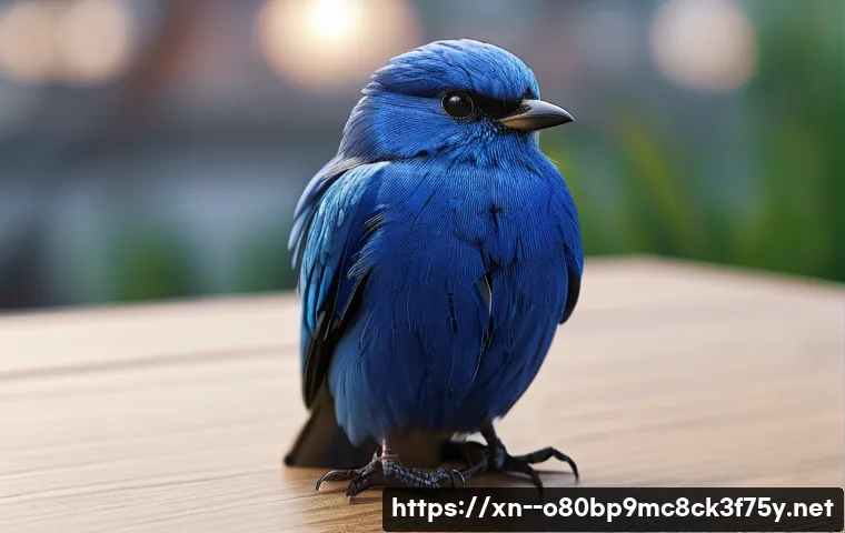 사리현동 STATUS_INVALID_DEVICE_REQUEST 관련 이미지 2