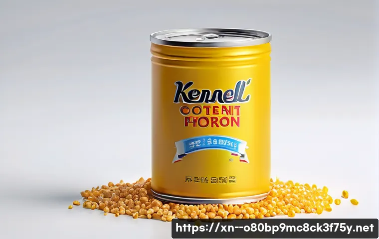 대원동 KERNEL_STACK_INPAGE_ERROR 관련 이미지 1