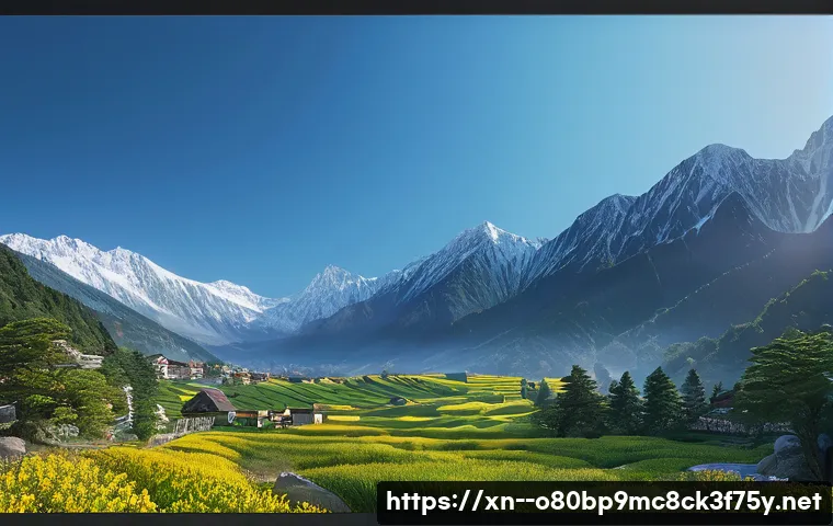 대곡동 STATUS_MODULE_NOT_FOUND 관련 이미지 1