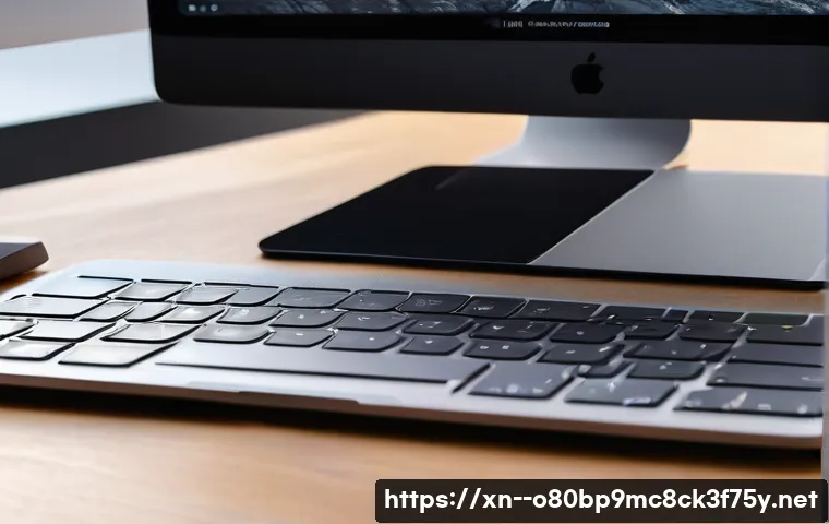 덕풍동 맥윈도우 부트캠프_bootcamp 재설치 포맷  초기화 관련 이미지 2