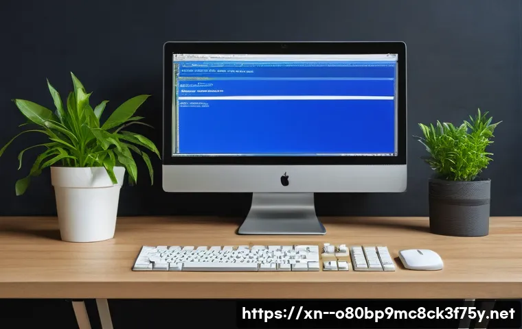 도기동 STATUS_KERNEL_FILE_SYSTEM_ERROR 관련 이미지 2