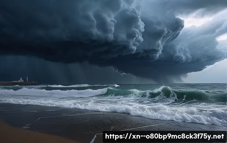 분당동 HARDWARE_INTERRUPT_STORM 관련 이미지 1