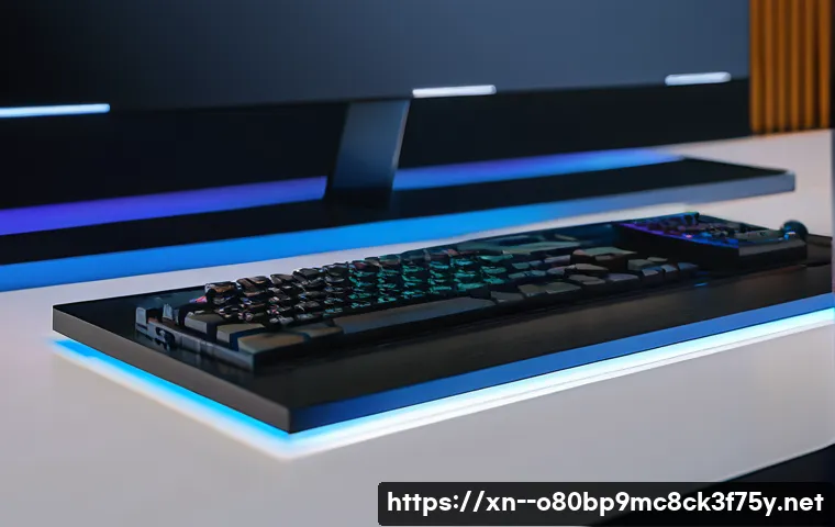 의왕시 ATTEMPTED_EXECUTE_OF_NOEXECUTE_MEMORY 관련 이미지 1