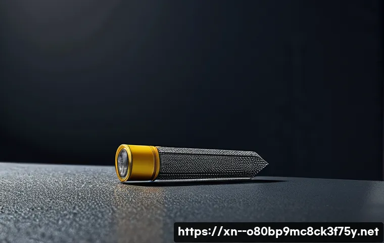 의왕시 ATTEMPTED_EXECUTE_OF_NOEXECUTE_MEMORY 관련 이미지 2