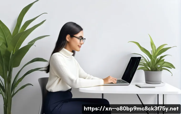 송파구 HARDWARE_MEMORY_FAILURE 관련 이미지 2