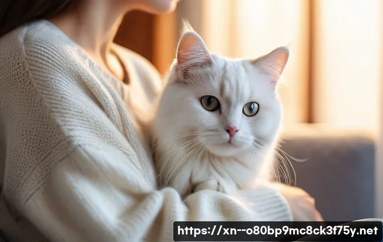 동산동 STATUS_FILE_INVALID 관련 이미지 2