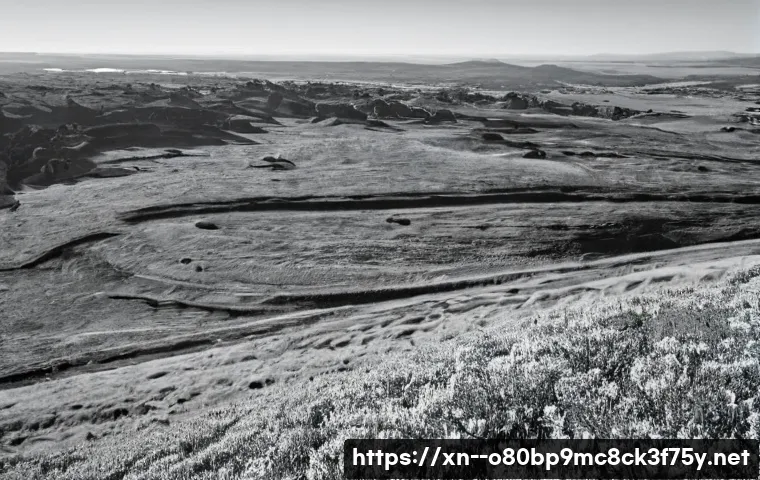 일패동 DPC_WATCHDOG_VIOLATION 관련 이미지 1