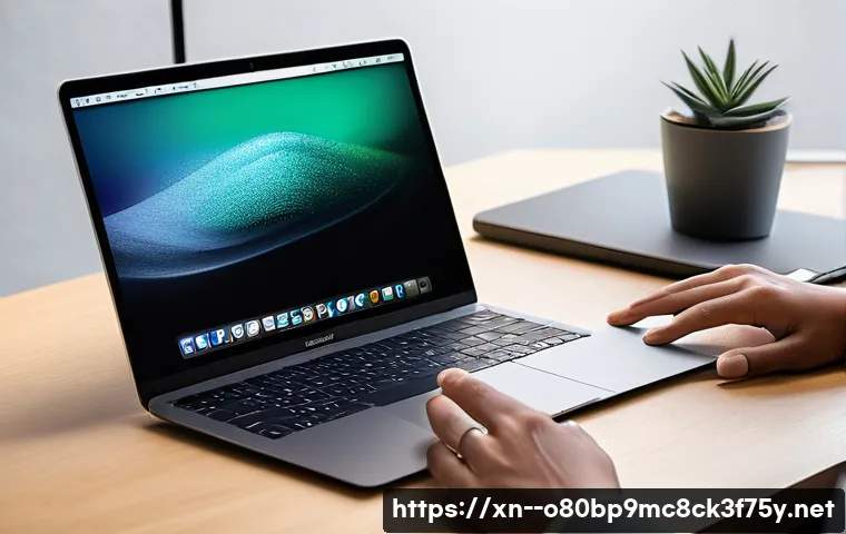 수표동 맥윈도우 부트캠프_bootcamp 재설치 포맷  초기화 관련 이미지 1