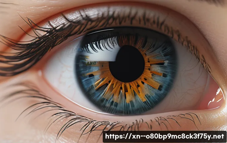 묘동 STATUS_KERNEL_CONFIGURATION_ERROR 관련 이미지 2