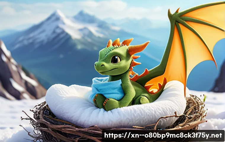 하산운동 CRITICAL_OBJECT_TERMINATION 관련 이미지 2