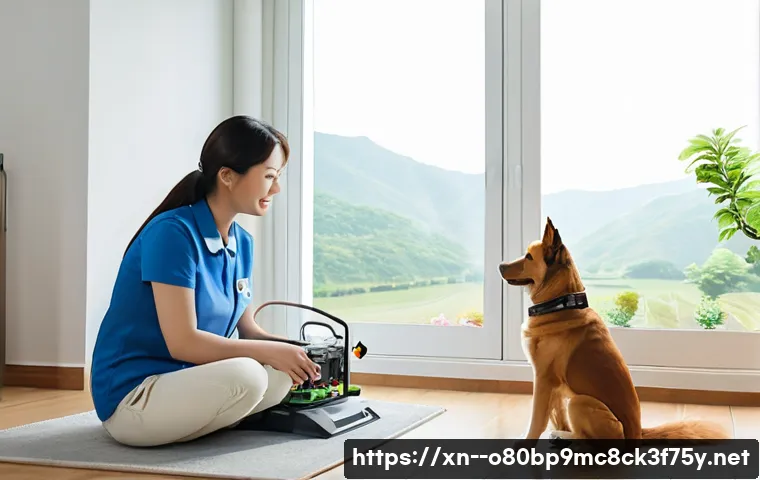 옥천면 네트워크구축 설정 및 세팅오류해결 관련 이미지 2