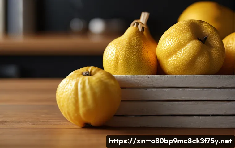 우면동 STATUS_KERNEL_PERMISSION_DENIED 관련 이미지 1