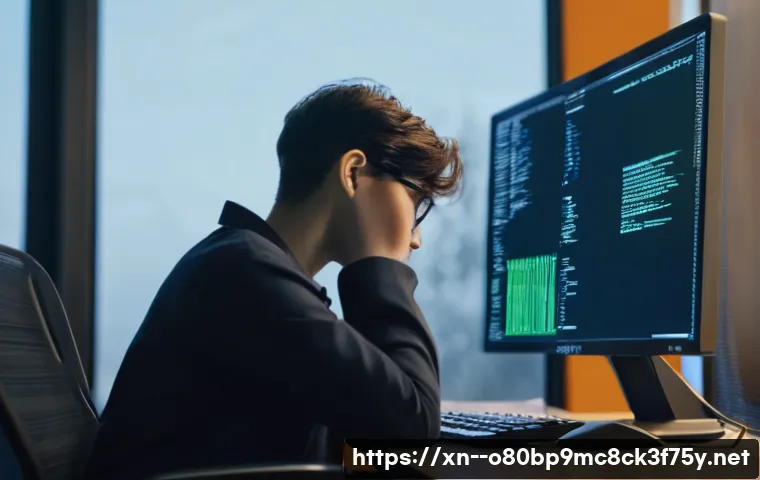 대자동 STATUS_FILE_INVALID 관련 이미지 1