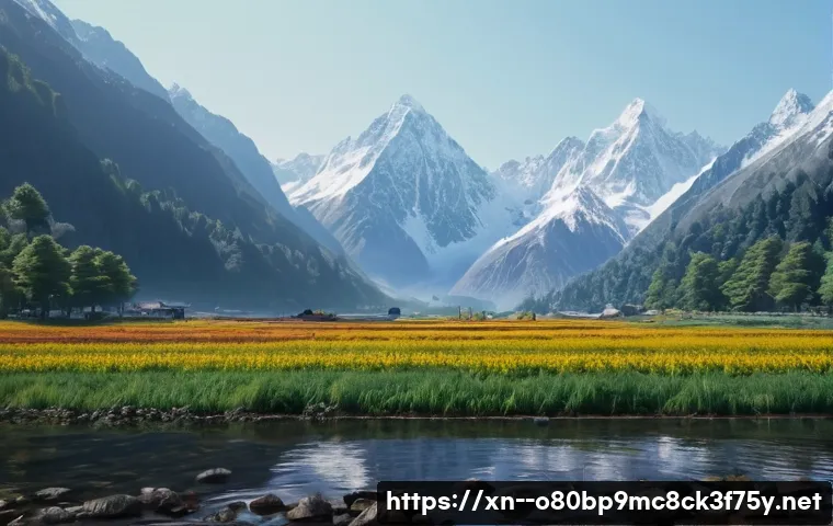 강천면 STATUS_KERNEL_LOG_FAILURE 관련 이미지 2