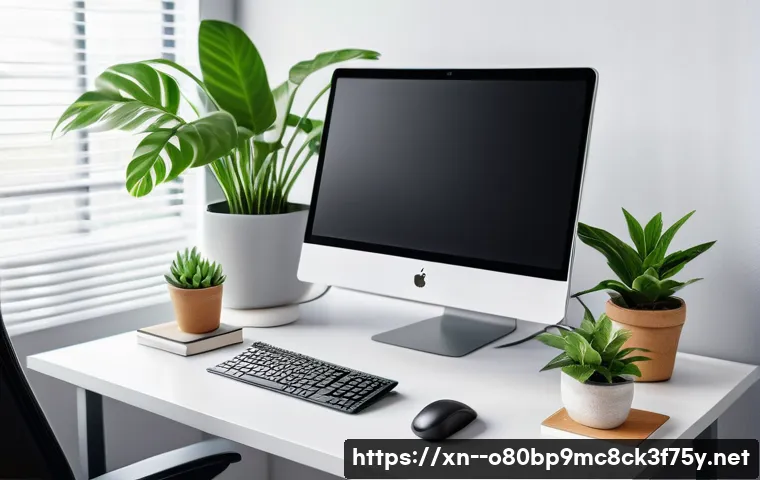 양동면 팬돌다 멈춤 관련 이미지 2