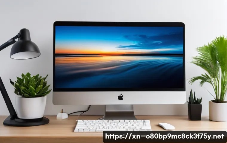 설운동 STATUS_PROTECTION_ERROR 관련 이미지 2