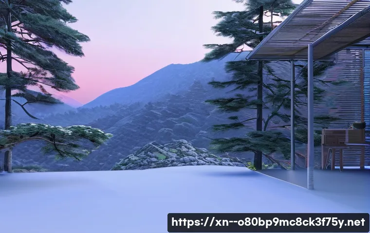 동삭동 STATUS_INVALID_PARAMETER 관련 이미지 2