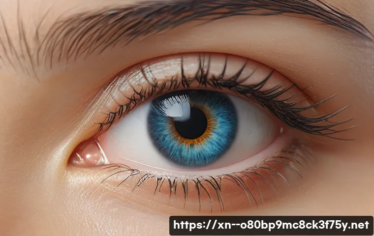 원흥동 STATUS_KERNEL_BLOCKED 관련 이미지 1