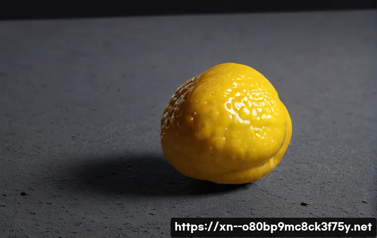 원흥동 STATUS_KERNEL_BLOCKED 관련 이미지 2