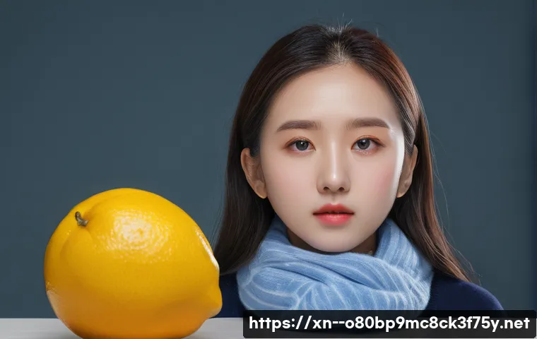 미산면 ATTEMPTED_EXECUTE_OF_NOEXECUTE_MEMORY 관련 이미지 2